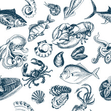 Vector Illustration Sketch - Fish Pattern