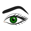 Woman green eye hand draw stock vector illustration design