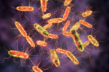 Salmonella bacteria. S. typhi, S. typhimurium and other Salmonella, Gram-negative rod-shaped bacteria, the causative agents of enteric typhus and food toxicoinfection salmonellosis, 3D illustration