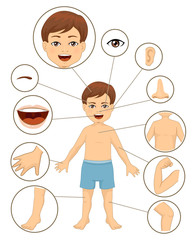 Poster - Kid Boy Body Parts Illustration