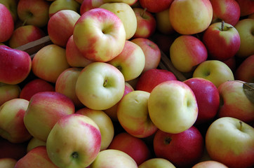 Wall Mural - Apples in wooden crates