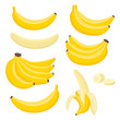 Vector set of bunches of fresh banana isolated on white