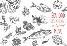 Vector Illustration Sketch - Logo Seafood. Card Menu Restaurant.