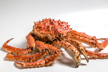 Wall Mural - a king crab lies on a white background