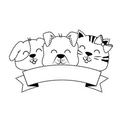 Canvas Print - cute dog and cat with ribbon vector illustration design