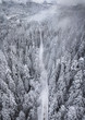 Aerial view of snow covered trees and snow covered road in the mountains