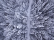 Overhead view of snow covered trees and snow covered road in the wilderness