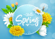 Hello spring banner with round frame and various flower on blue background
