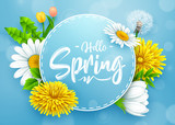 Fototapeta Dinusie - Hello spring banner with round frame and various flower on blue background