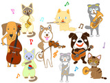 Fototapeta Pokój dzieciecy - 犬と猫のコンサート。犬と猫が楽器を演奏している
