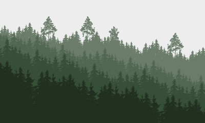 Wall Mural - panoramic vector illustration of a forest under a overcast gray sky