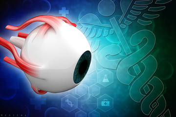 Poster - 3d rendering Human eye structure