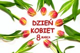 Fototapeta  - Dzień kobiet kartka z polskim tekstem DZIEŃ KOBIET, Czerwone tulipany ułożone w koło na białym tle