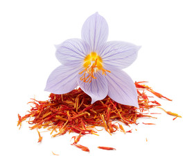 Poster - Saffron with crocus flower