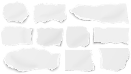 Wall Mural - Set of paper different tears scraps isolated on white background