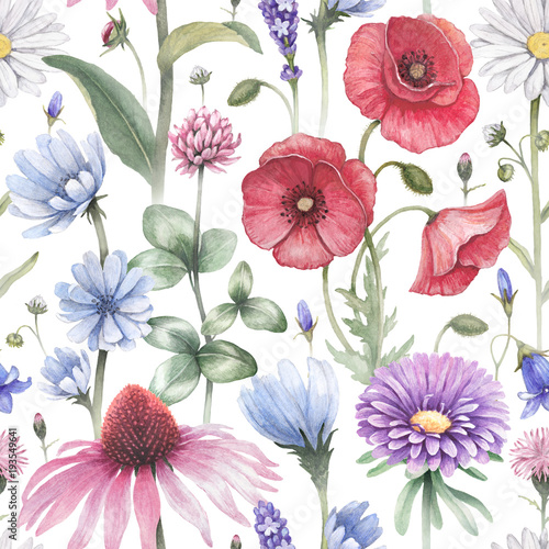summer-flowers-illustrations-watercolor-seamless-pattern