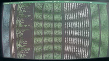 Hacking encrypted data, strings of programming code on retro screen, cybercrime. Elaborated hacking attack on screen