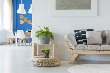 Wall Mural - Plant in bright open space