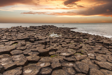 giant's causeway along the northern ireland coast