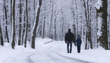 Fototapeta Miasto - A man with his son is walking in a snow-covered forest