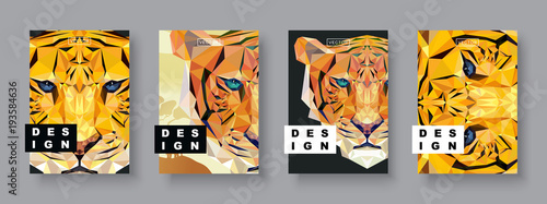 tiger abstract covers set card tiger template future poster tiger template