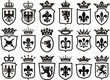 Coat of Arms set heraldic element