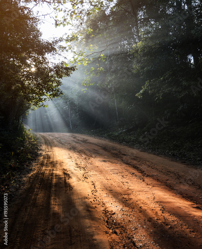 Fototapeta Beautiful morning landscape of dirt track forest with sun rays