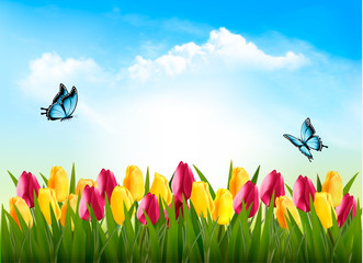 Poster - Nature background with green grass, flowers and a butterfly. Vector.