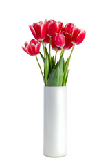 Wall Mural - Bouquet of red tulips in white vase isolated on white background