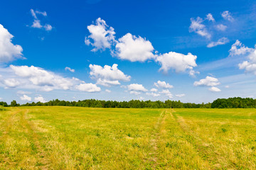  Sky, clouds and field. Belarus, Minsk region. Colorful landscape