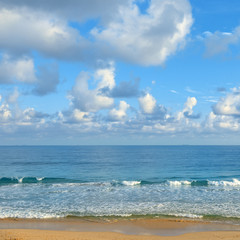 Wall Mural - Clear sunny day at seaside. Yellow sand and blue ocean