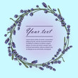 vector circular template color drawn design with lavender plants