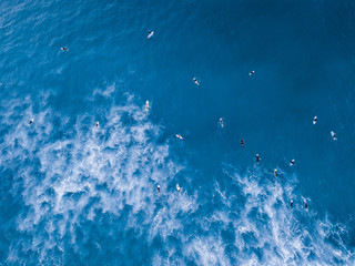 Wall Mural - Aerial view of group of surfer waiting for wave.