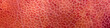 © gubernat - Closeup of pork liver as texture.
