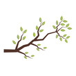 © Jemastock - Tree branch isolated icon vector illustration graphic design
