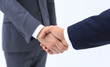 © ASDF - Businessman by handshake invites to cooperation.