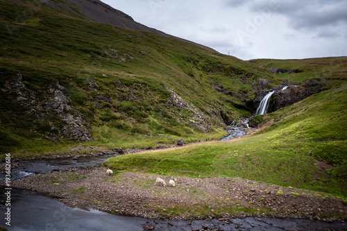 Zdjęcie XXL Islandia, zielony krajobraz. Europa