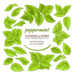 Wall Mural - peppermint elements set