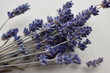 Closeup of dried purple lavender