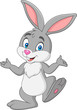 Cartoon rabbit isolated on white background
