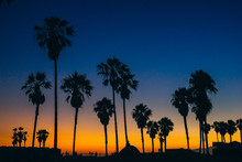 View Of Silhouette Palm Trees Against Blue Sky During Sunset