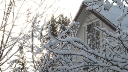 Wall Mural - Sun shines through bare winter trees by house covered in snow.