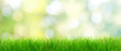 © Thaut Images - Gras im Frühling