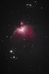 Wall Mural - The Orion Nebula as seen from Mannheim in Germany.