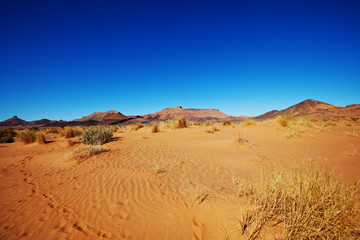 Wall Mural - Sand desert