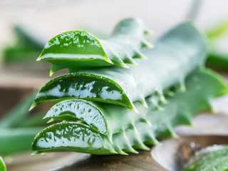 Wall Mural - Fresh aloe vera leaf slice close up.