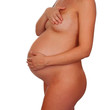 © Gelpi - Beautiful pregnant body without clothes