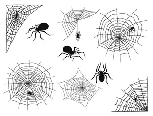 Wall Mural - Spiders vector web silhouette spooky spider nature halloween element cobweb decoration fear spooky net.