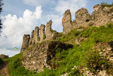Fototapeta Kwiaty - The ruins of the castle