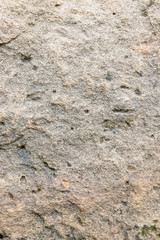 Canvas Print - Texture Sandstone background Natural stone sandstone is characterized by large brown, solid, rough ground.